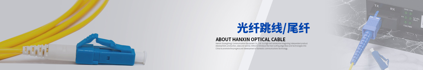 SC-SC光纤跳线-正品PA视讯光缆|广东PA视讯通信光缆有限公司