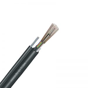 GYTC8A 光缆 GYTC8A 光缆